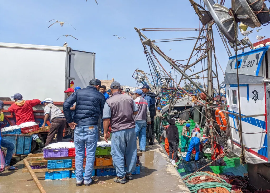 fishermen unloading their boat at Essaioura Port