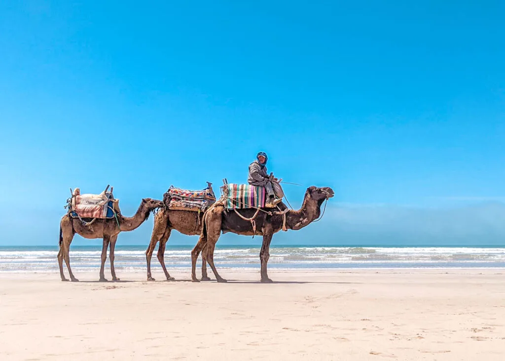 Essaouira in September