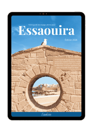 French ebook front cover